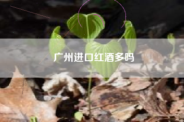 廣州進口紅酒多嗎