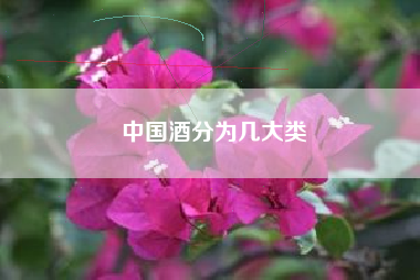 中國酒分為幾大類