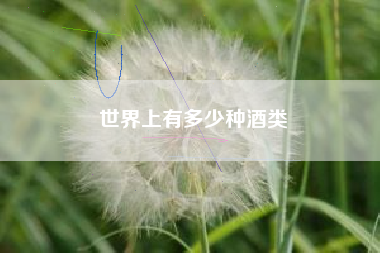 世界上有多少種酒類