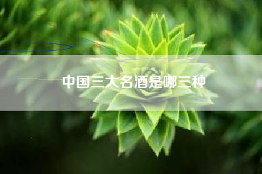 中國三大名酒是哪三種