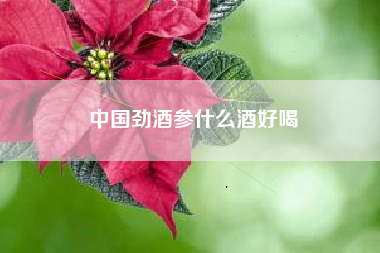 中國勁酒參什么酒好喝