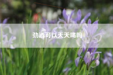 勁酒可以天天喝嗎