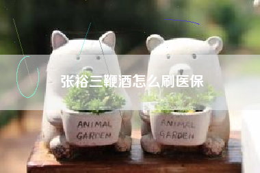 張裕三鞭酒怎么刷醫(yī)保