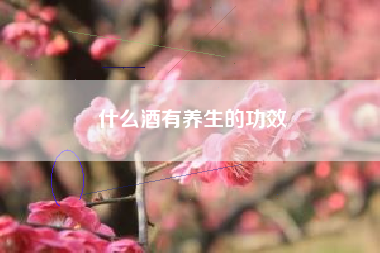 什么酒有養(yǎng)生的功效