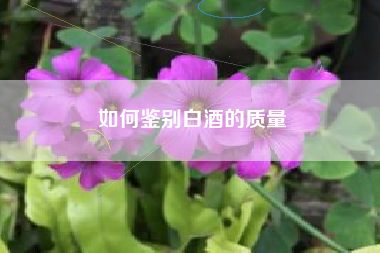 如何鑒別白酒的質(zhì)量