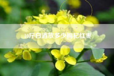 10斤白酒放多少枸杞紅棗