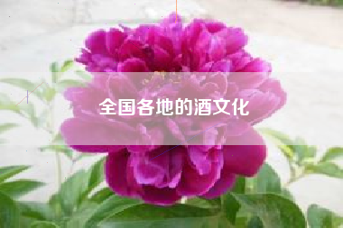 全國各地的酒文化