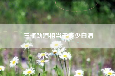 三瓶勁酒相當(dāng)于多少白酒
