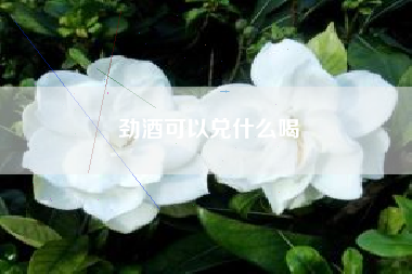 勁酒可以兌什么喝