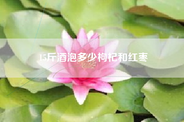 15斤酒泡多少枸杞和紅棗