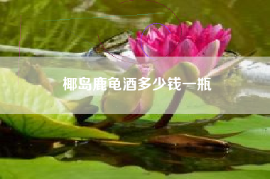 椰島鹿龜酒多少錢一瓶
