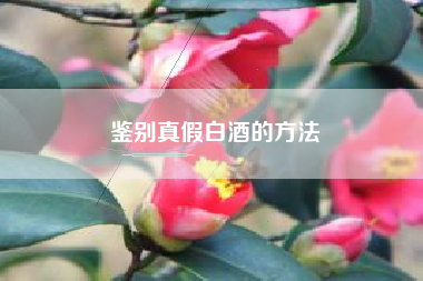 鑒別真假白酒的方法
