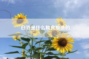白酒是什么糧食釀造的