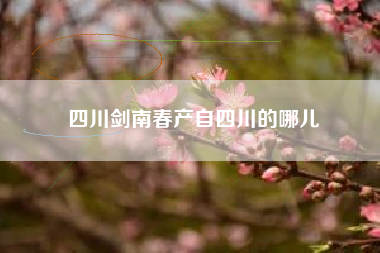 四川劍南春產(chǎn)自四川的哪兒