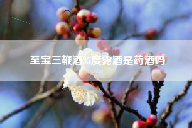 至寶三鞭酒35度露酒是藥酒嗎