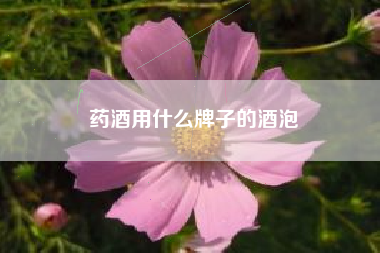 藥酒用什么牌子的酒泡