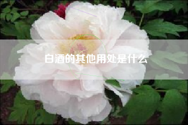 白酒的其他用處是什么