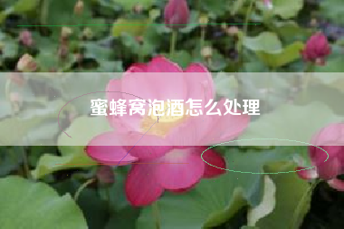 蜜蜂窩泡酒怎么處理