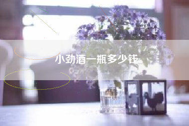 小勁酒一瓶多少錢