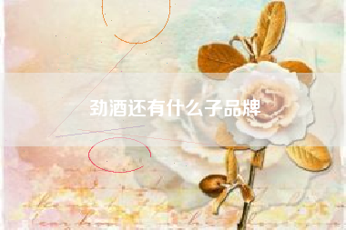 勁酒還有什么子品牌