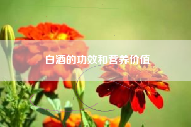 白酒的功效和營養(yǎng)價值