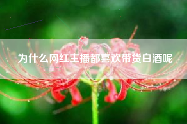 為什么網(wǎng)紅主播都喜歡帶貨白酒呢