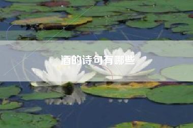 酒的詩句有哪些