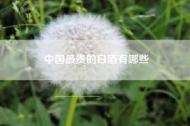 中國最貴的白酒有哪些