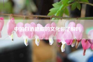 中國白酒隱藏的文化你了解嗎