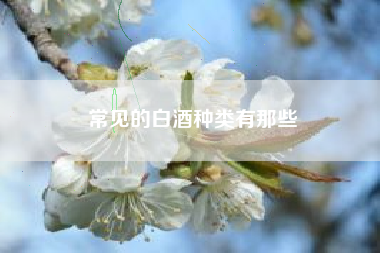 常見的白酒種類有那些