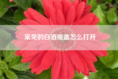 常見的白酒瓶蓋怎么打開