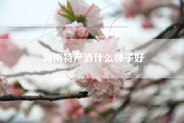 海南特產(chǎn)酒什么牌子好