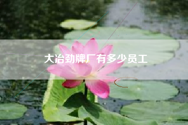 大冶勁牌廠有多少員工