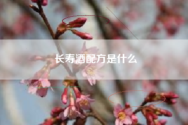 長(zhǎng)壽酒配方是什么