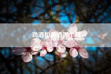 勁酒和黃酒哪個(gè)好