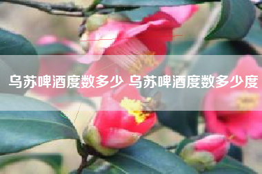 烏蘇啤酒度數(shù)多少 烏蘇啤酒度數(shù)多少度