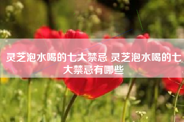 靈芝泡水喝的七大禁忌 靈芝泡水喝的七大禁忌有哪些
