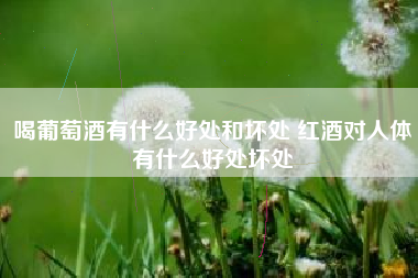 喝葡萄酒有什么好處和壞處 紅酒對人體有什么好處壞處