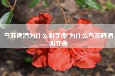 烏蘇啤酒為什么叫奪命 為什么烏蘇啤酒叫奪命