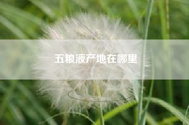五糧液產(chǎn)地在哪里