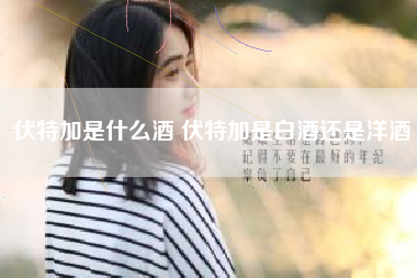伏特加是什么酒 伏特加是白酒還是洋酒