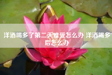 洋酒喝多了第二天難受怎么辦 洋酒喝多后怎么辦