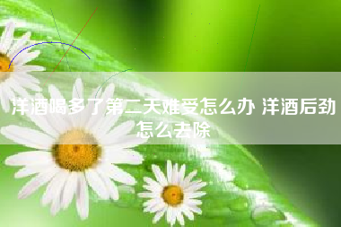 洋酒喝多了第二天難受怎么辦 洋酒后勁怎么去除