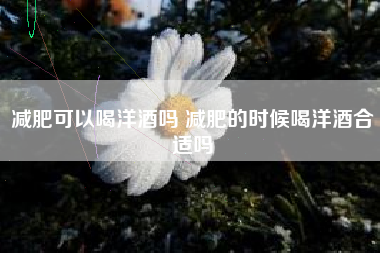 減肥可以喝洋酒嗎 減肥的時候喝洋酒合適嗎