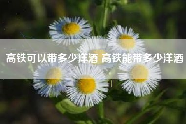 高鐵可以帶多少洋酒 高鐵能帶多少洋酒