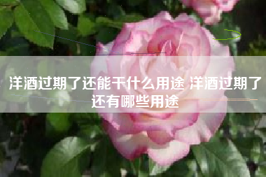 洋酒過期了還能干什么用途 洋酒過期了還有哪些用途