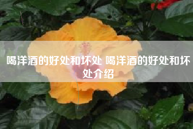 喝洋酒的好處和壞處 喝洋酒的好處和壞處介紹
