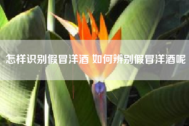 怎樣識別假冒洋酒 如何辨別假冒洋酒呢