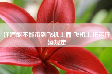 洋酒能不能帶到飛機上面 飛機上托運洋酒規(guī)定