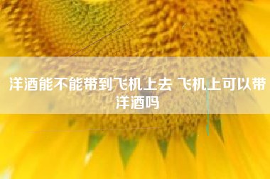 洋酒能不能帶到飛機上去 飛機上可以帶洋酒嗎